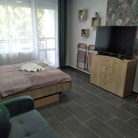 Apartment In - Balaton 44876