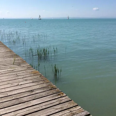 In - Balaton 44876